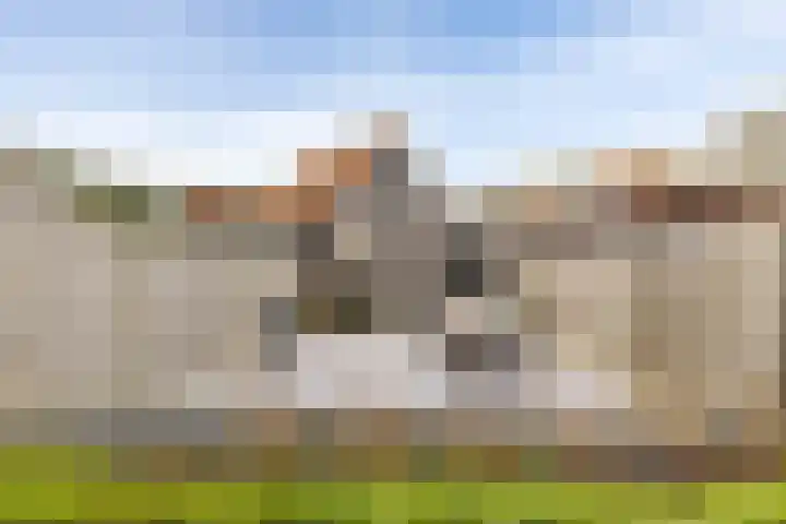 Dok van Perry 17 Vlissingen thumbnail 31