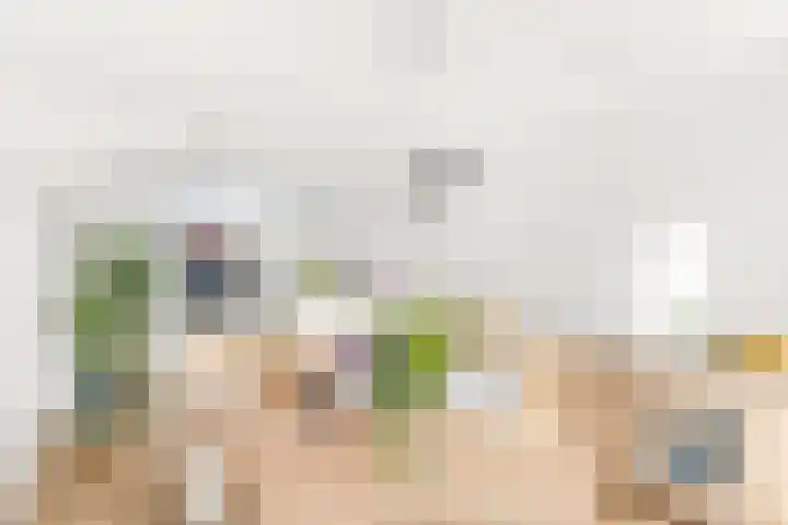 Dok van Perry 17 Vlissingen thumbnail 8