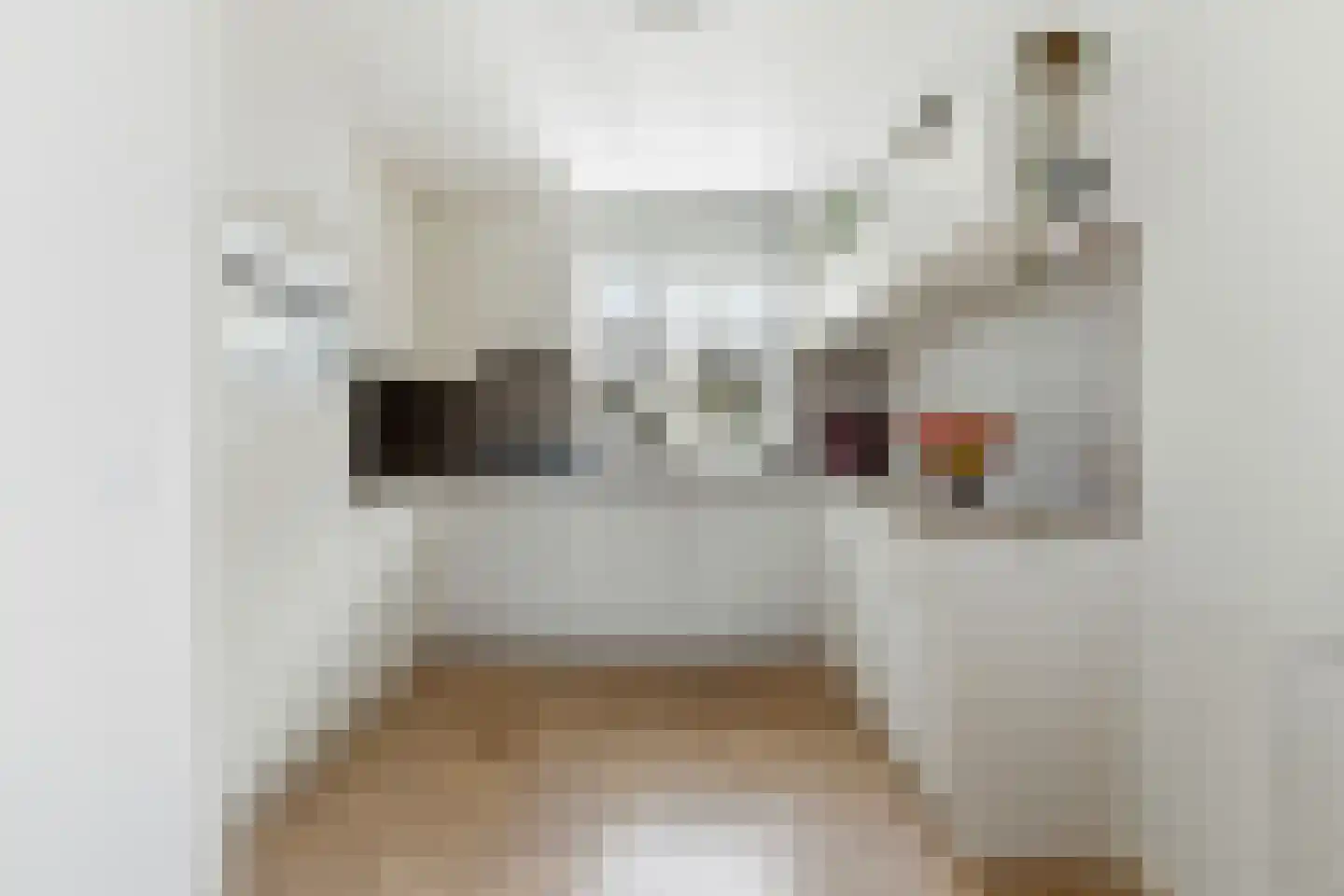 Dokhof 11 Ridderkerk thumbnail 17