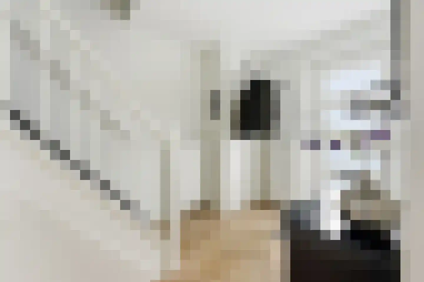 Dokhof 11 Ridderkerk thumbnail 19