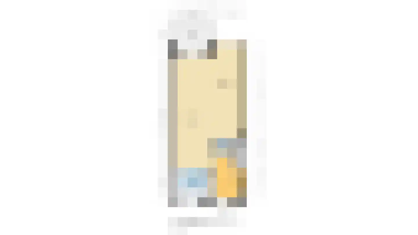 Dokhof 11 Ridderkerk thumbnail 46