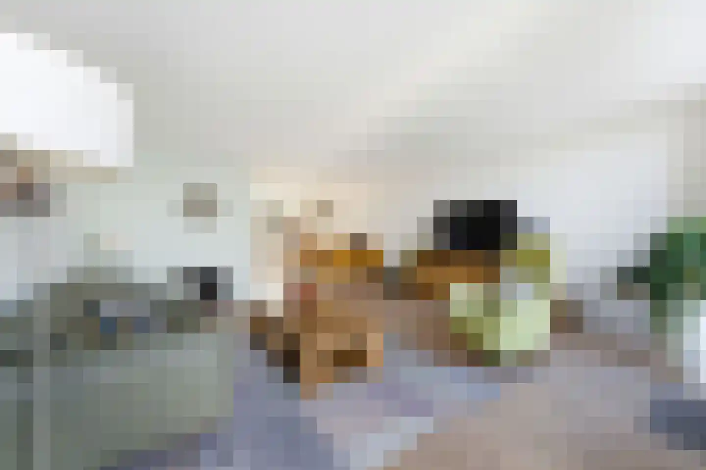 Dokhof 11 Ridderkerk thumbnail 8