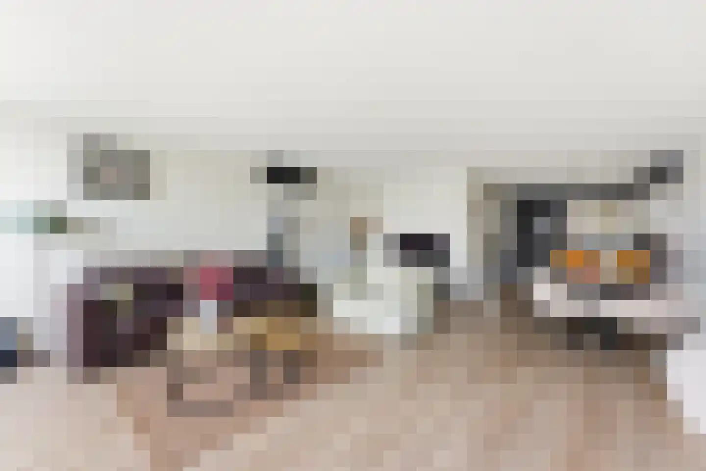 Dokhof 15 Ridderkerk thumbnail 13