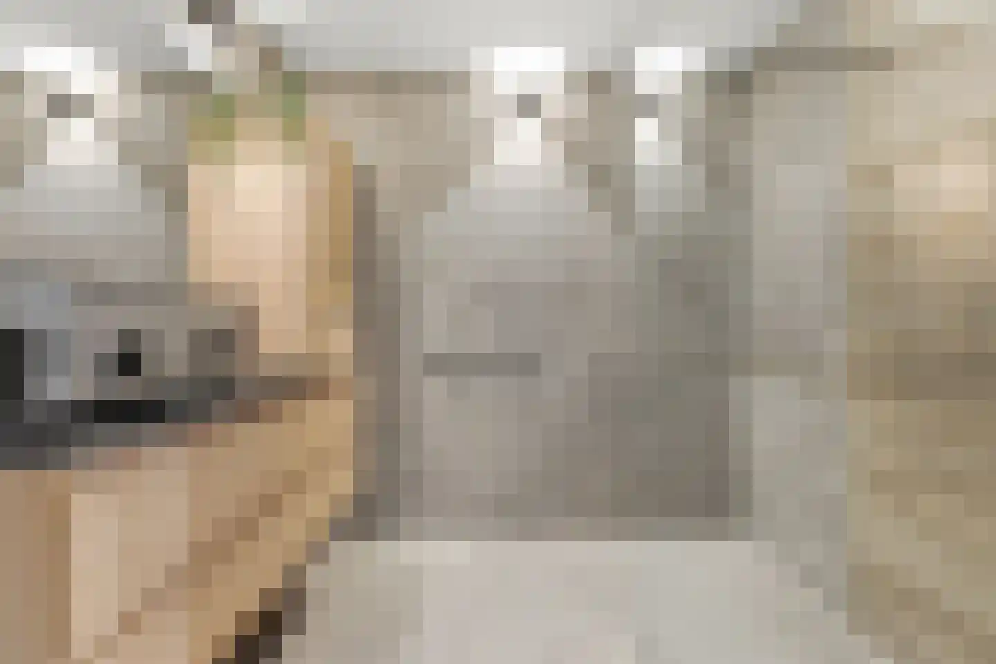 Dokhof 15 Ridderkerk thumbnail 33