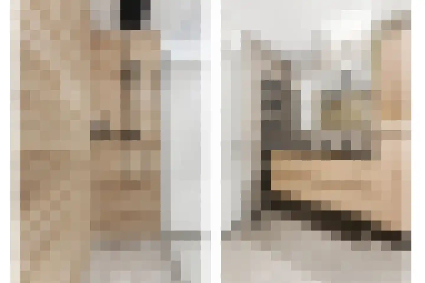 Dokhof 15 Ridderkerk thumbnail 34