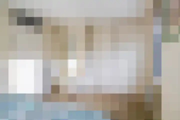 Dokhof 16 Ridderkerk thumbnail 22