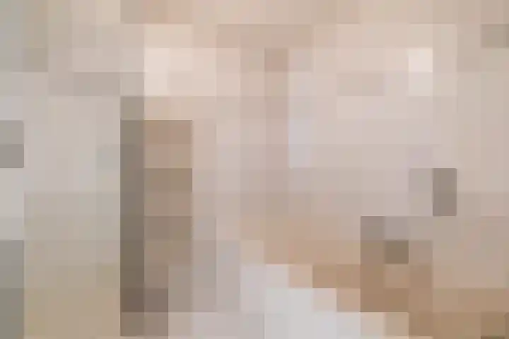 Dokhof 16 Ridderkerk thumbnail 25
