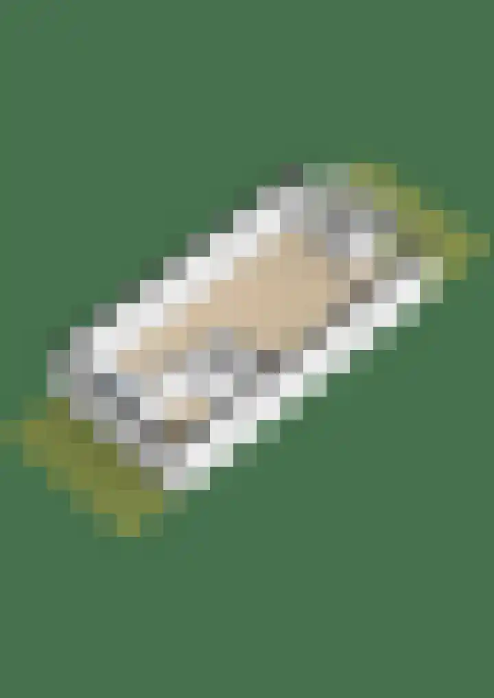 Dokhof 16 Ridderkerk thumbnail 55