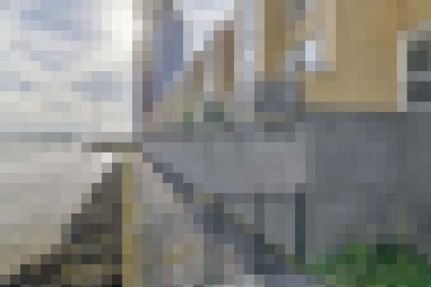 Dokhof 18 Ridderkerk thumbnail 45