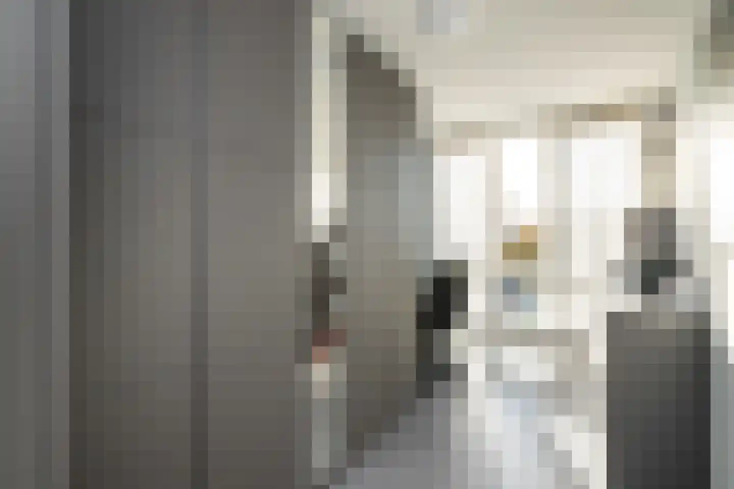 Dokhof 37 Ridderkerk thumbnail 18