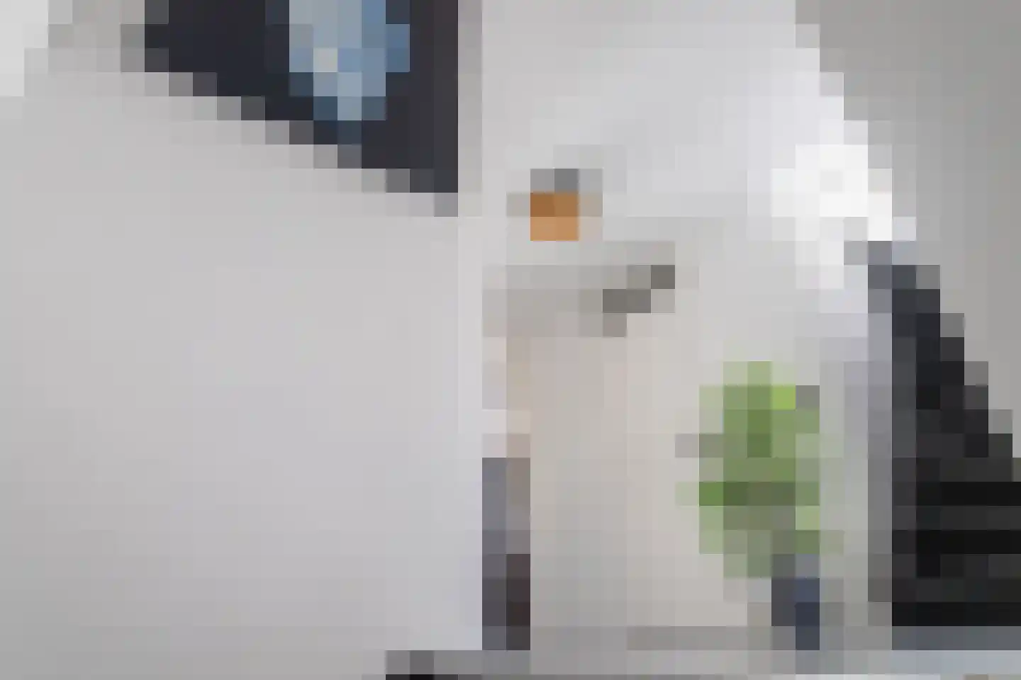 Dokhof 37 Ridderkerk thumbnail 21