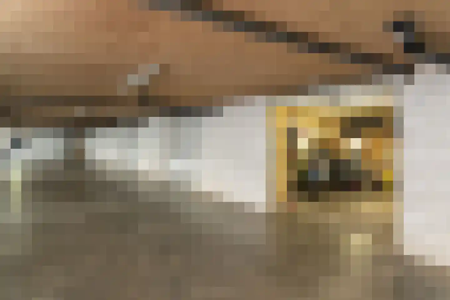 Dokhof 37 Ridderkerk thumbnail 28