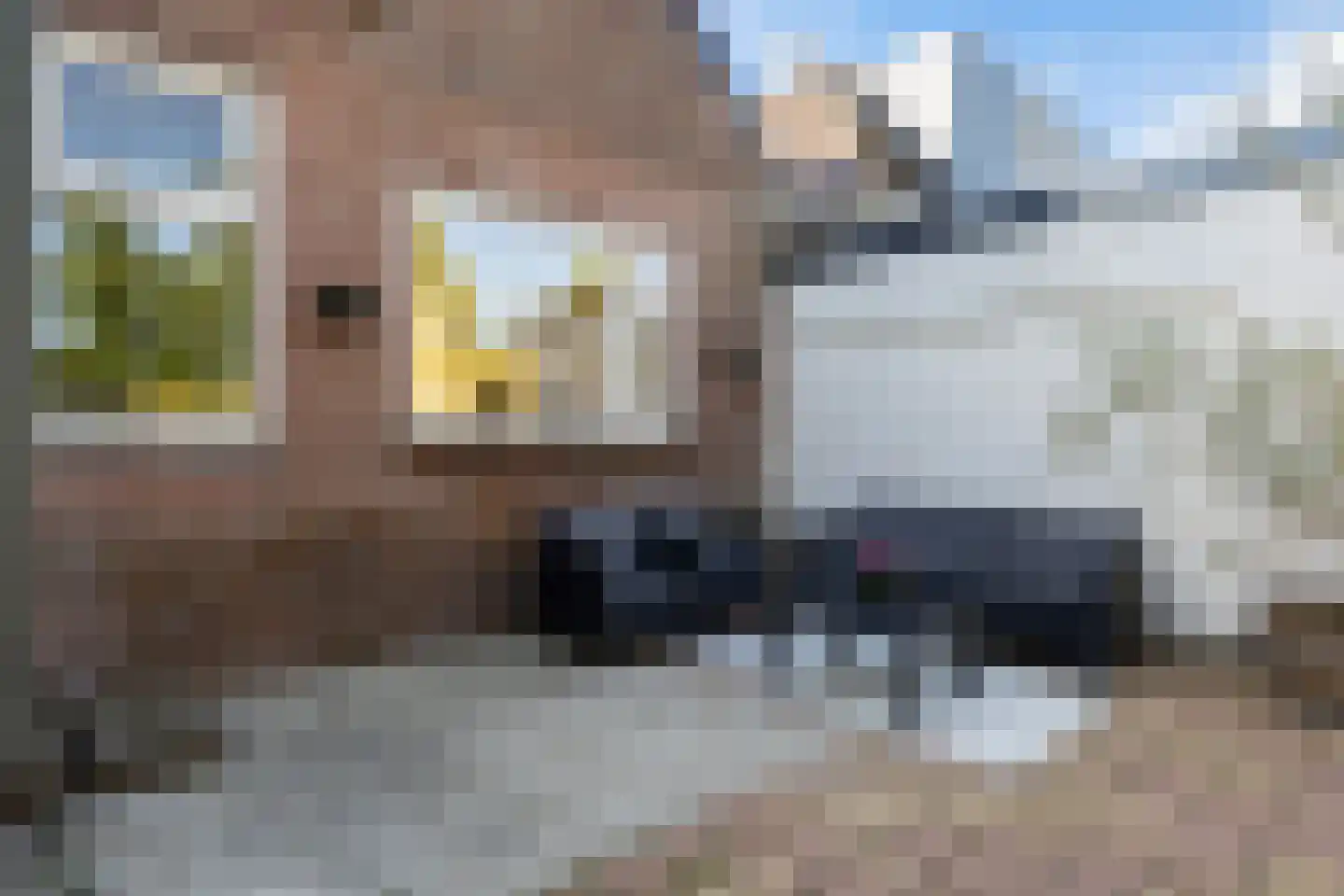 Dokkumer Straatweg 3 Burdaard thumbnail 34