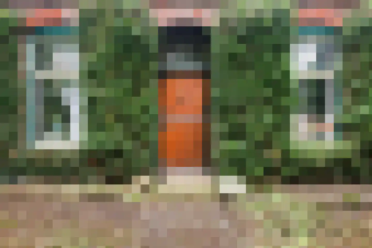 Dokkumerloane 1 Wâlterswâld foto 2
