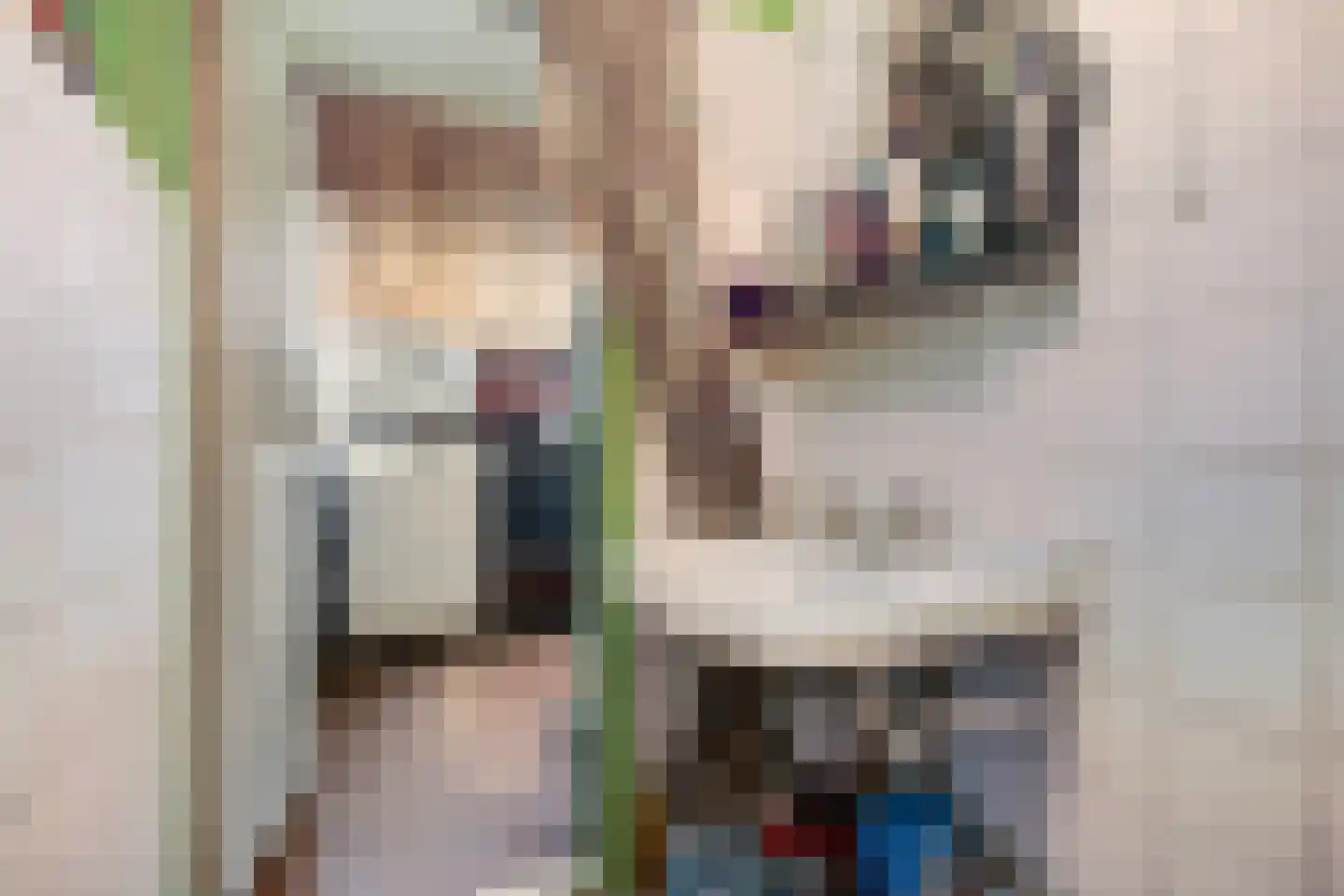 Dokkumerloane 1 Wâlterswâld thumbnail 29