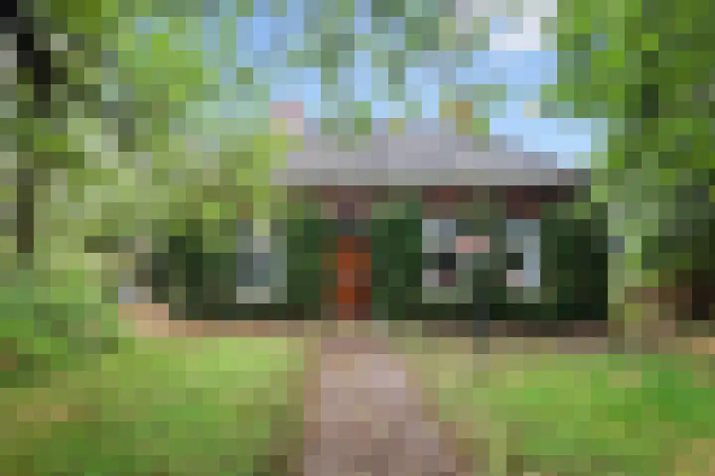 Dokkumerloane 1 Wâlterswâld foto 3