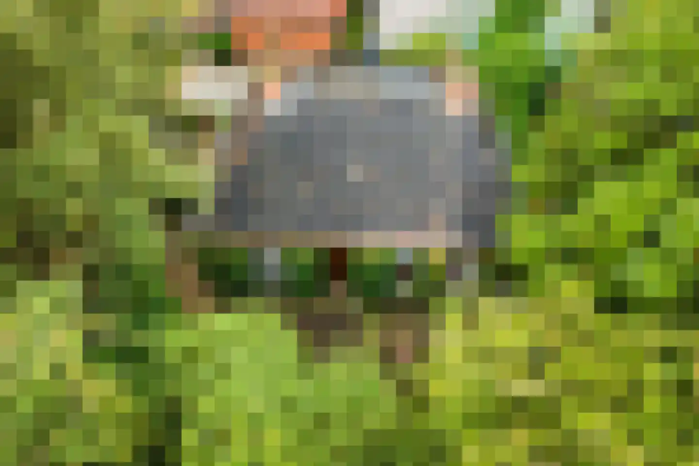 Dokkumerloane 1 Wâlterswâld thumbnail 32