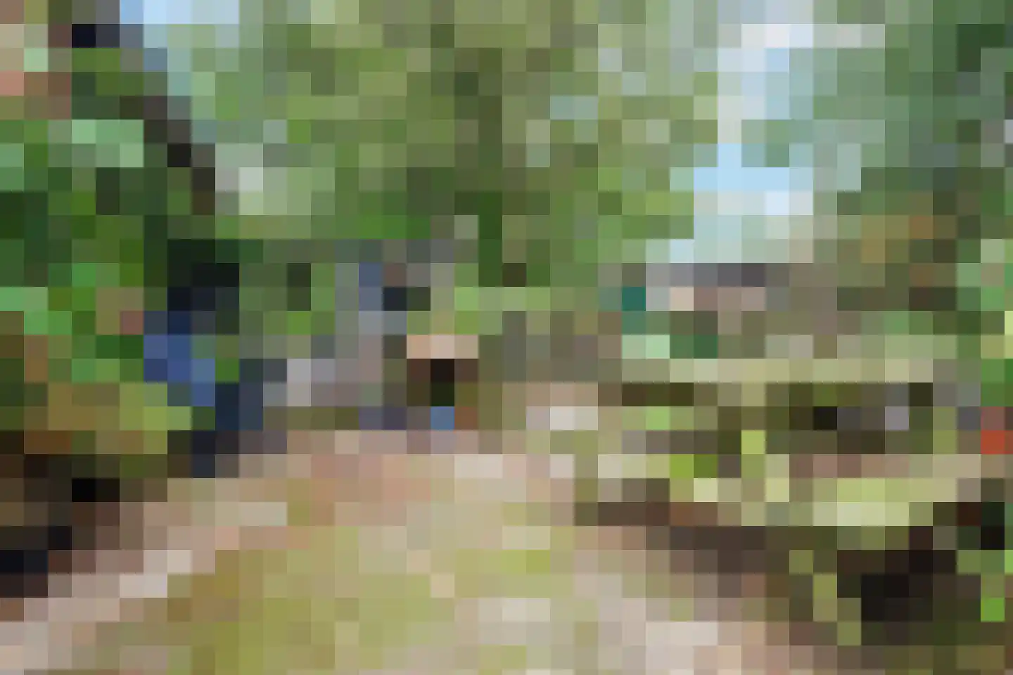 Dokkumerloane 1 Wâlterswâld thumbnail 35