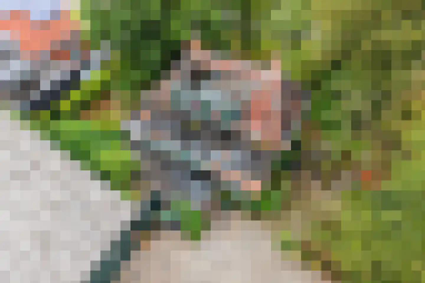 Dokkumerloane 1 Wâlterswâld thumbnail 37