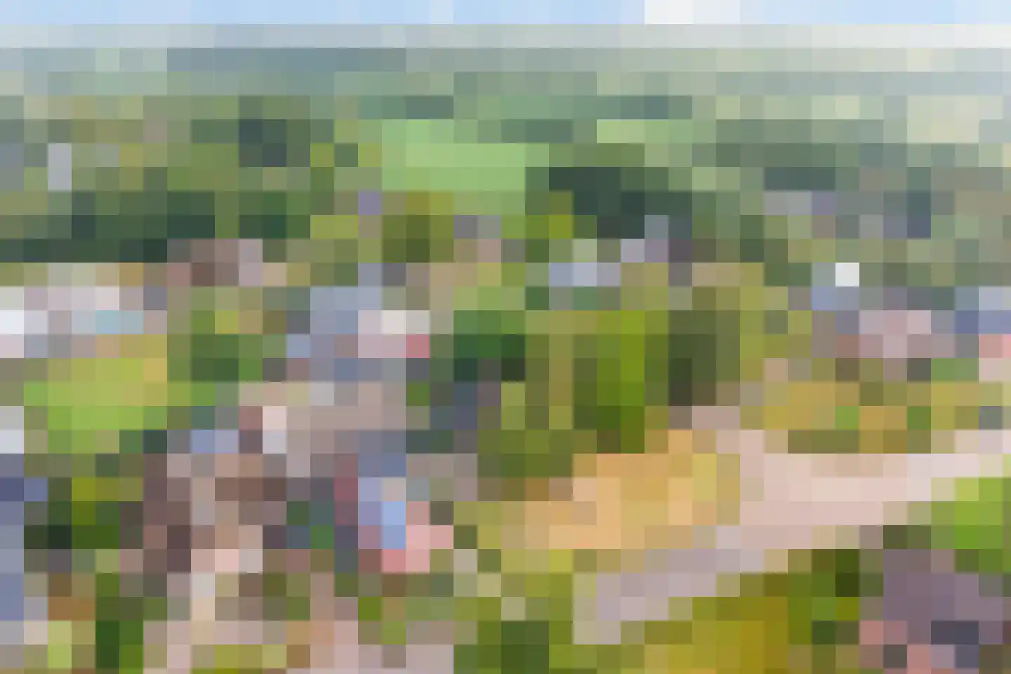 Dokkumerloane 1 Wâlterswâld thumbnail 38