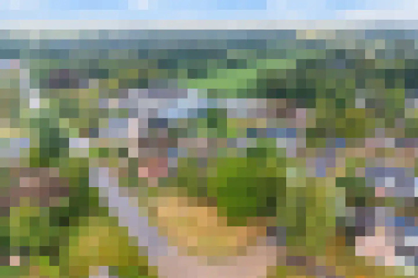 Dokkumerloane 1 Wâlterswâld thumbnail 39