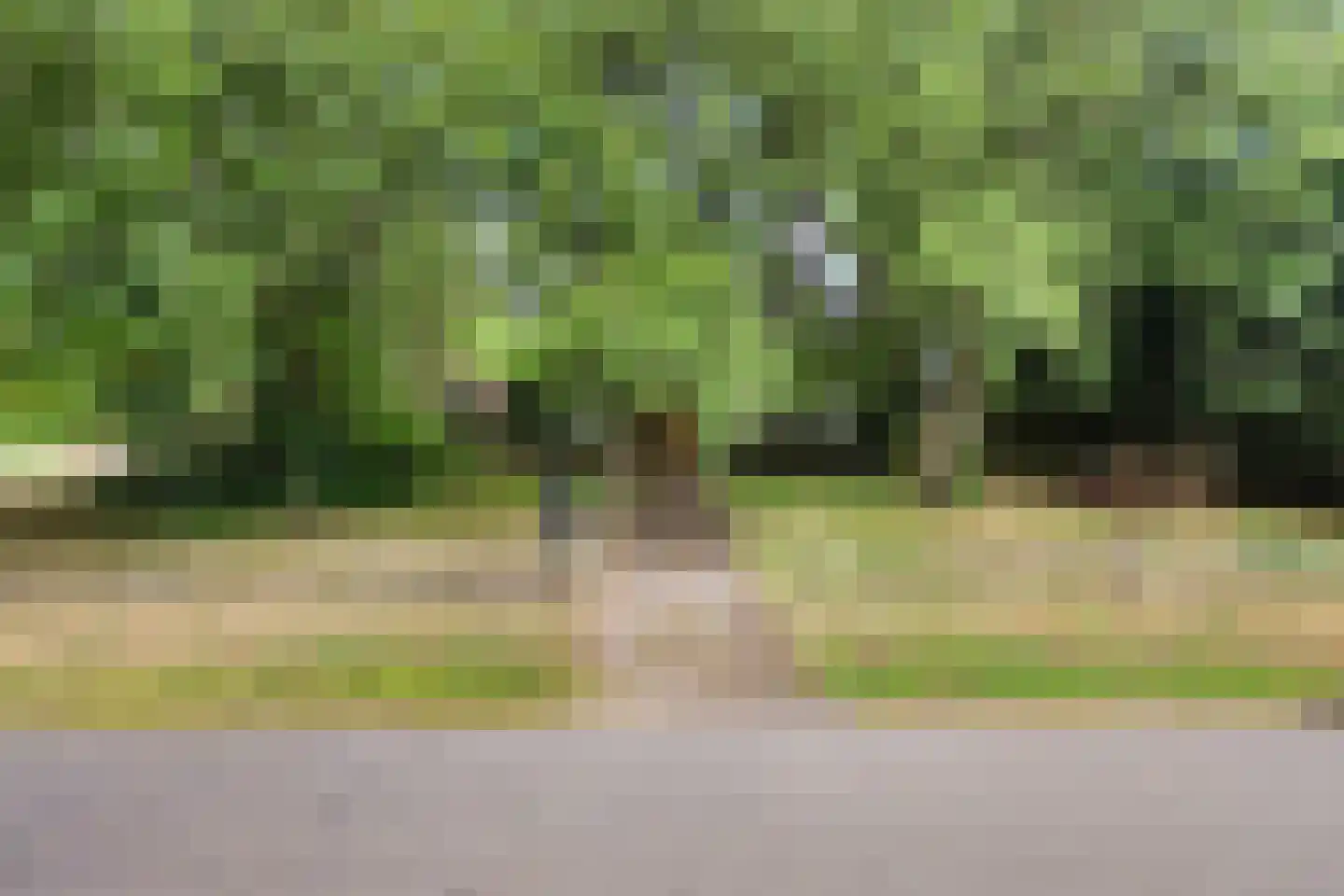 Dokkumerloane 1 Wâlterswâld thumbnail 6