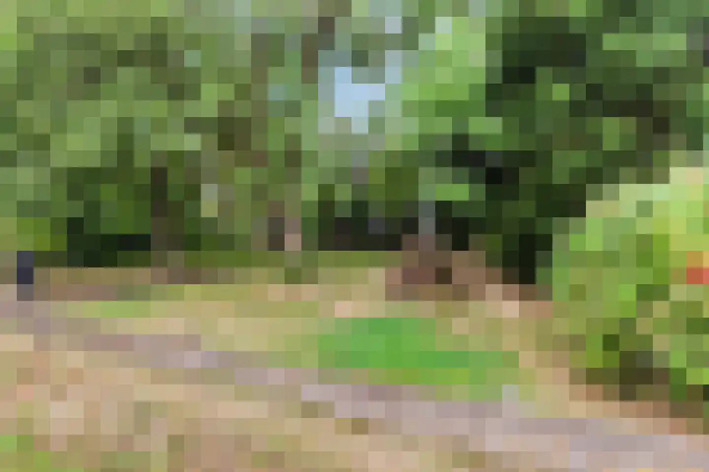 Dokkumerloane 1 Wâlterswâld thumbnail 7