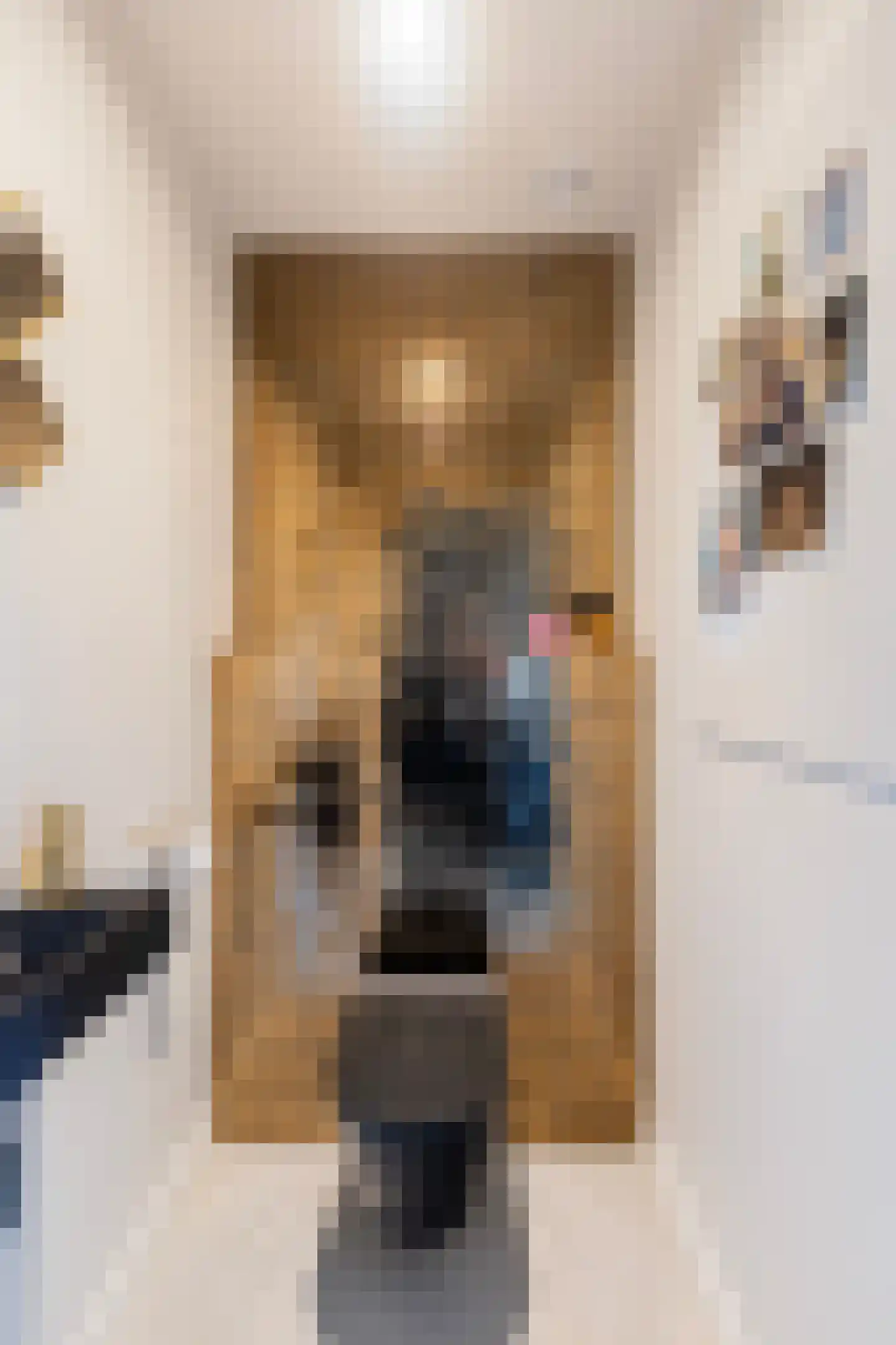 Dokkumerloane 5 Wâlterswâld thumbnail 18