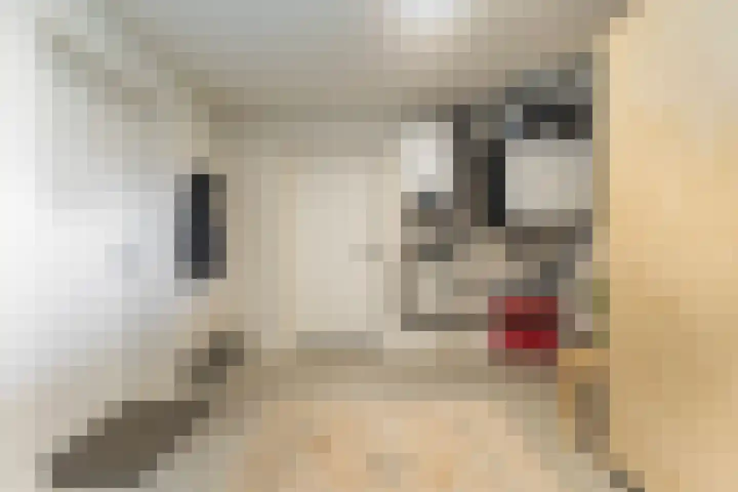 Dokkumerloane 5 Wâlterswâld thumbnail 39
