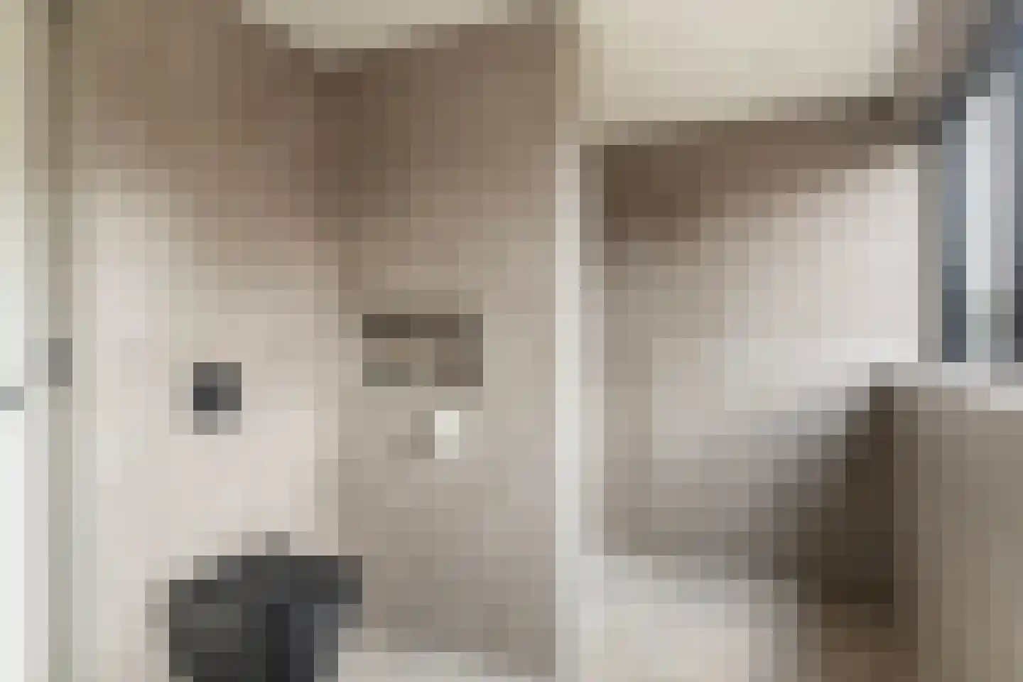 Dokkumerloane 5 Wâlterswâld thumbnail 4