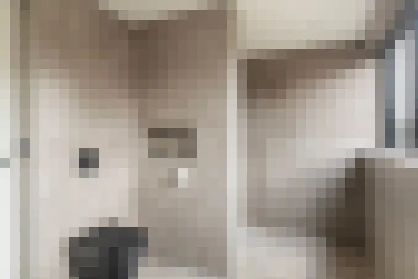 Dokkumerloane 5 Wâlterswâld thumbnail 50
