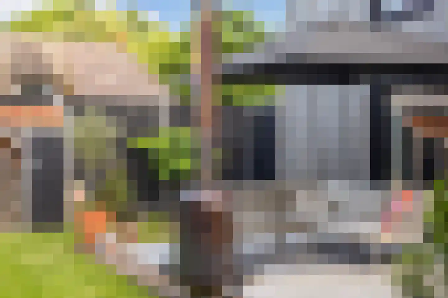Dokkumerloane 5 Wâlterswâld thumbnail 53