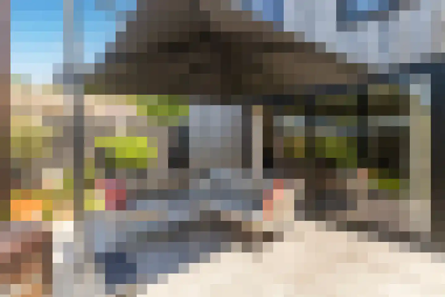 Dokkumerloane 5 Wâlterswâld thumbnail 55