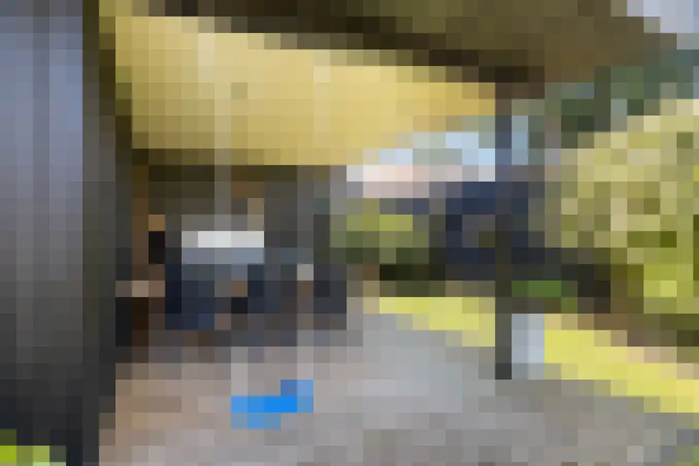 Dokkumerloane 5 Wâlterswâld thumbnail 56