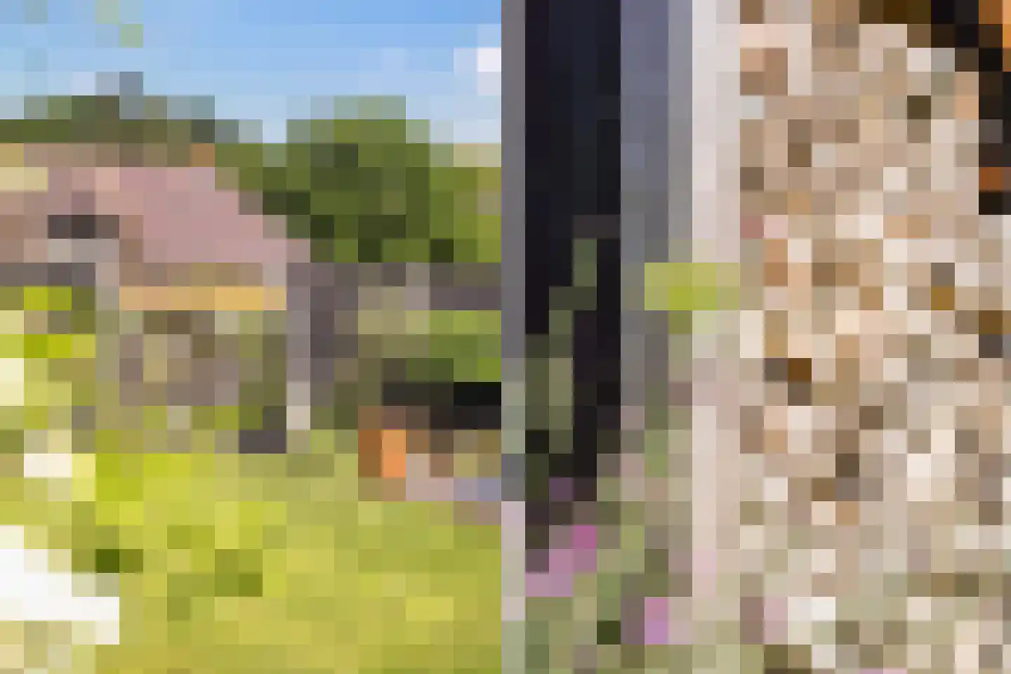 Dokkumerloane 5 Wâlterswâld thumbnail 58
