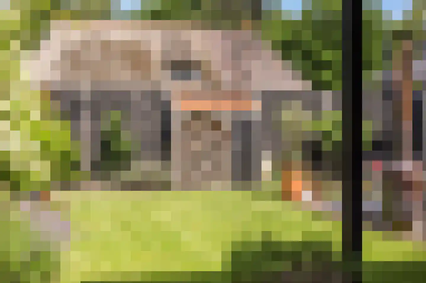 Dokkumerloane 5 Wâlterswâld thumbnail 61