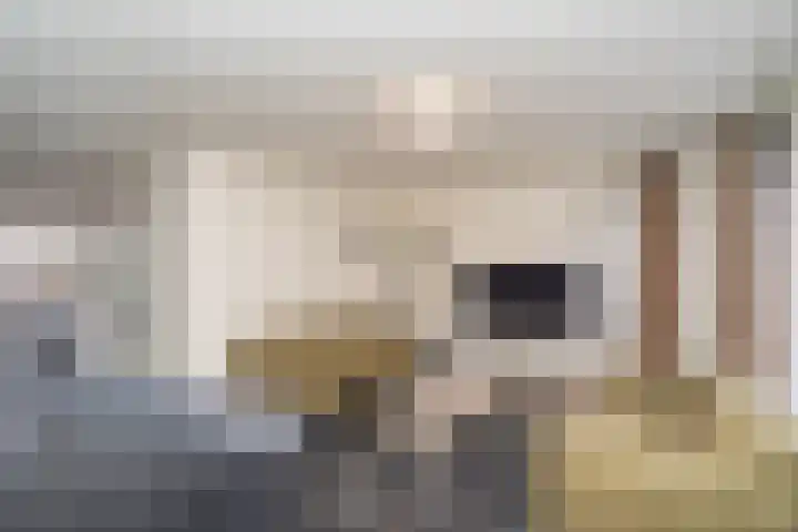 Dokkumstraat 22 Tilburg thumbnail 11