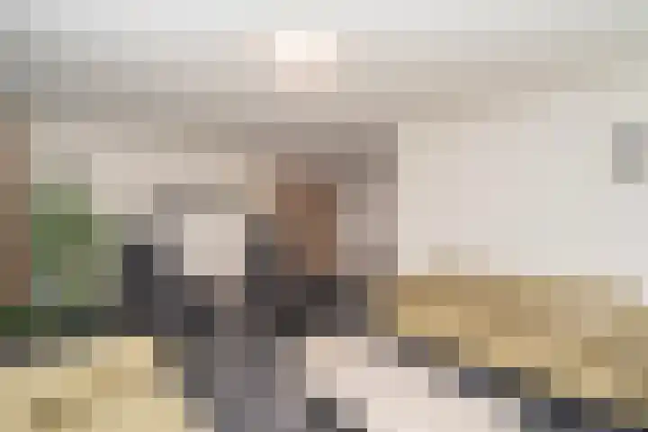 Dokkumstraat 22 Tilburg thumbnail 12