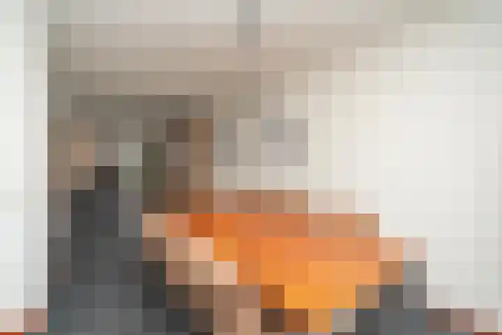 Dokkumstraat 22 Tilburg thumbnail 21