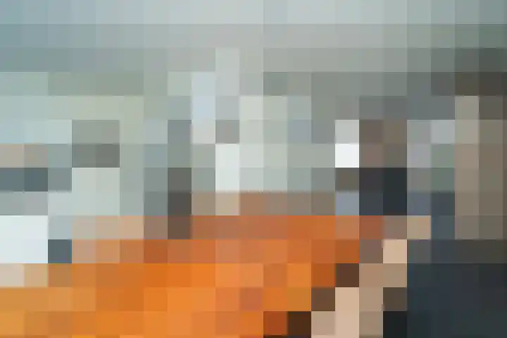 Dokkumstraat 22 Tilburg thumbnail 22