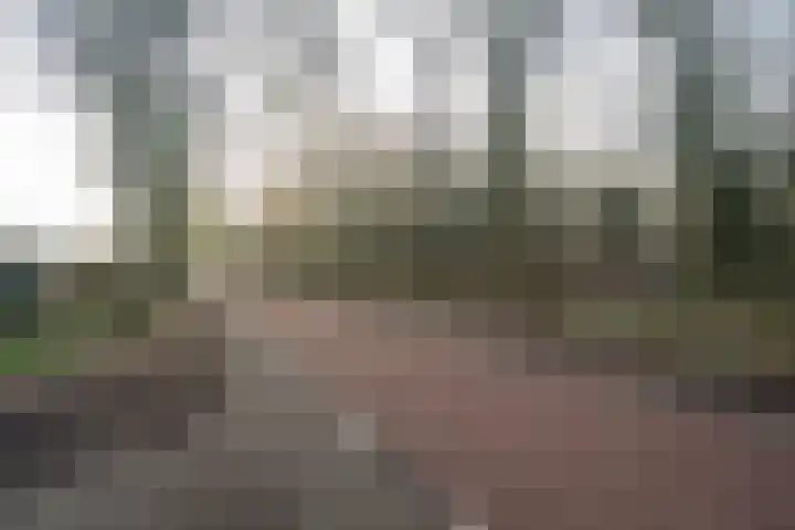 Dokkumstraat 22 Tilburg thumbnail 5