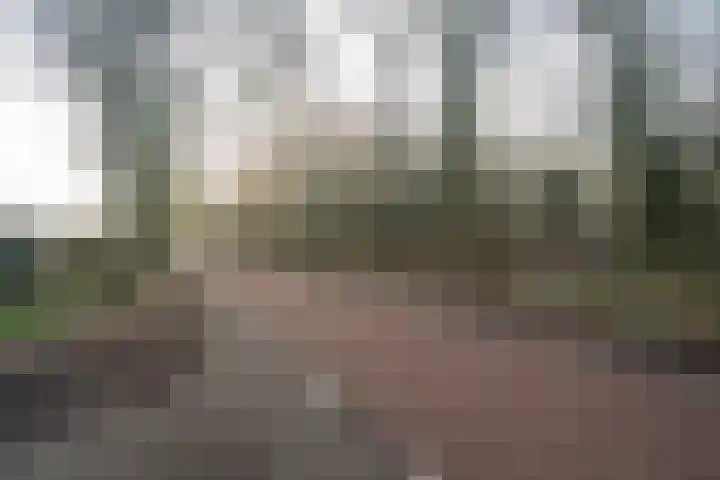 Dokkumstraat 22 Tilburg thumbnail 56