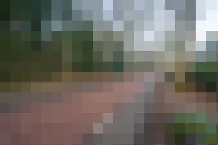 Dokkumstraat 22 Tilburg thumbnail 57