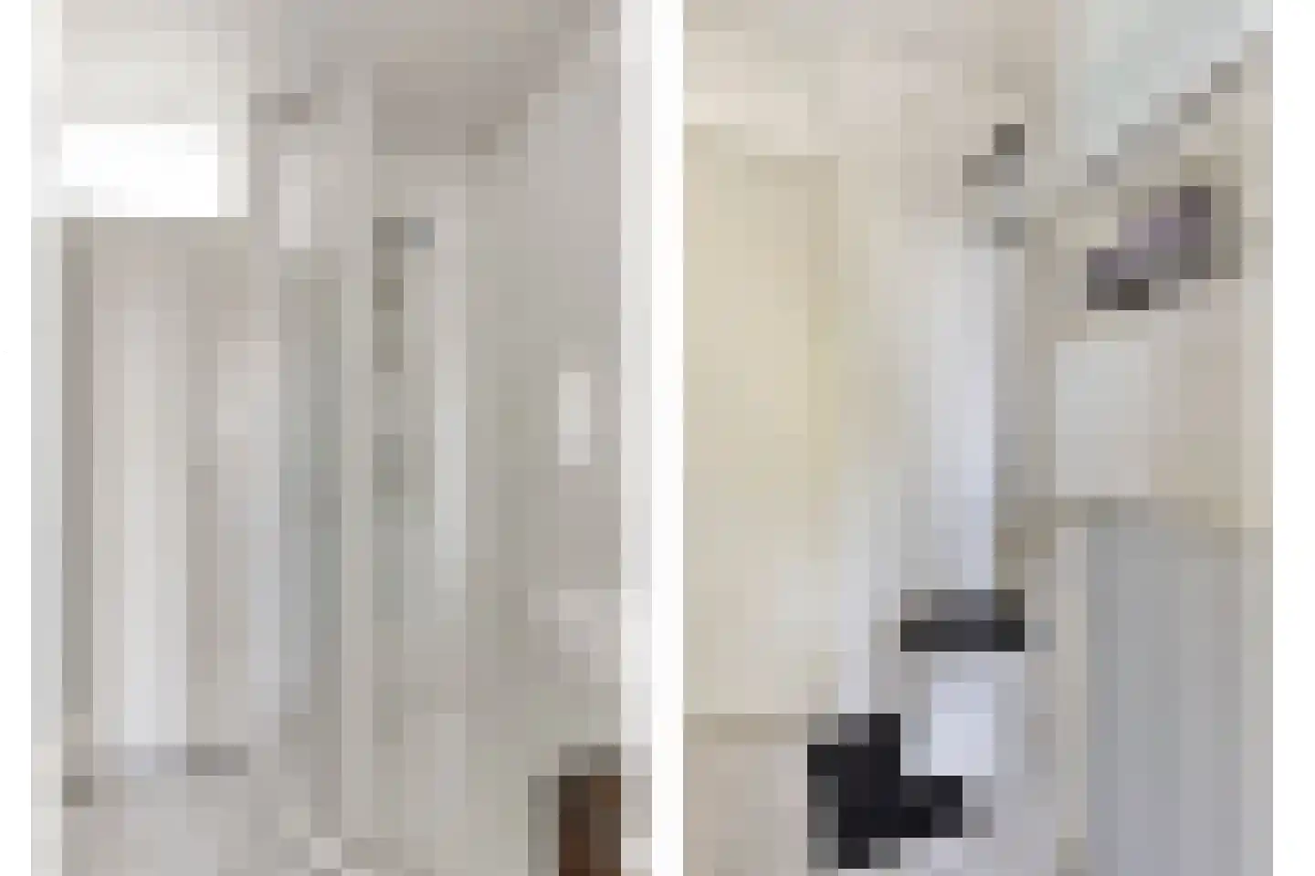 Doklaan 69 E Rotterdam thumbnail 8