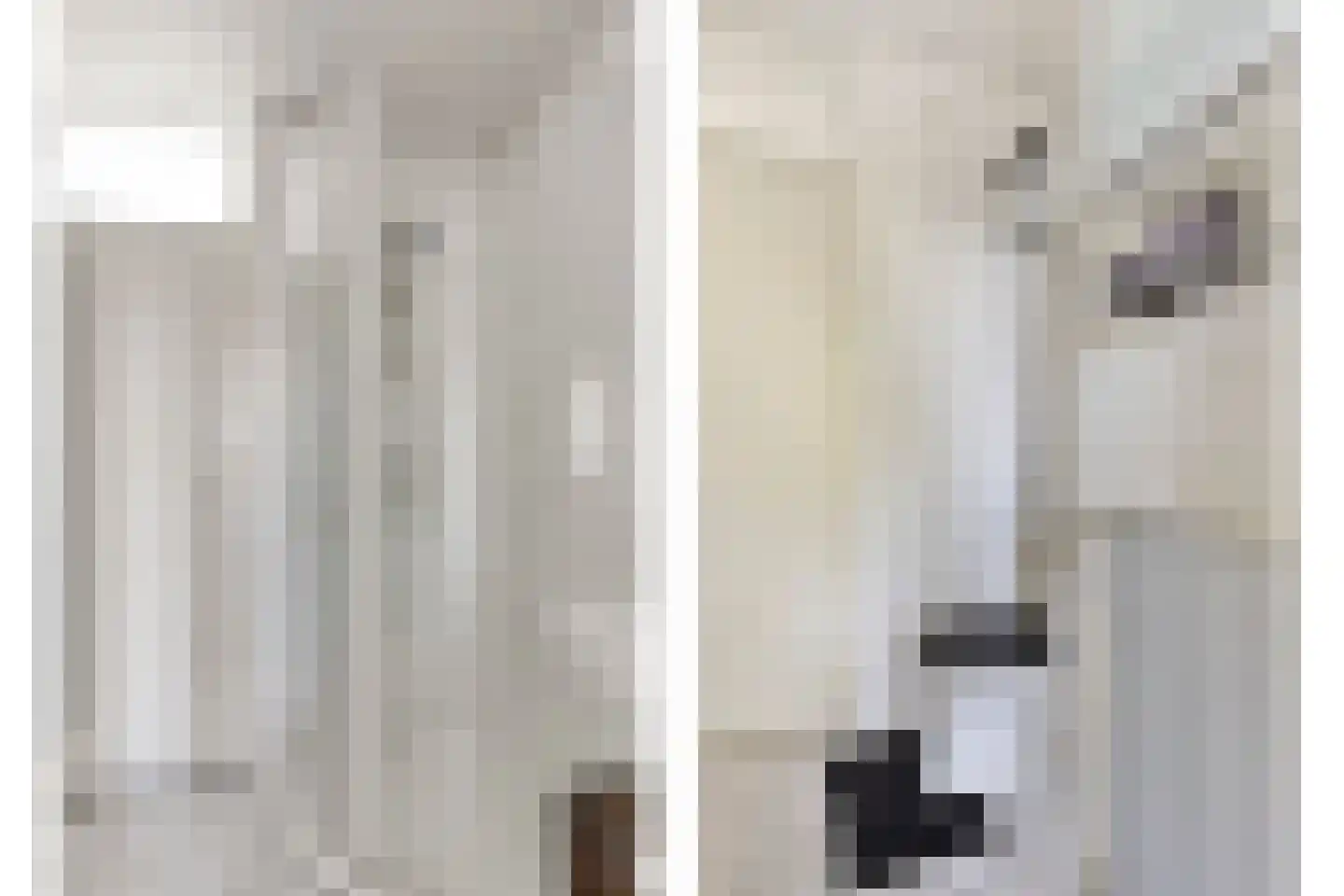 Doklaan 69 E Rotterdam thumbnail 9