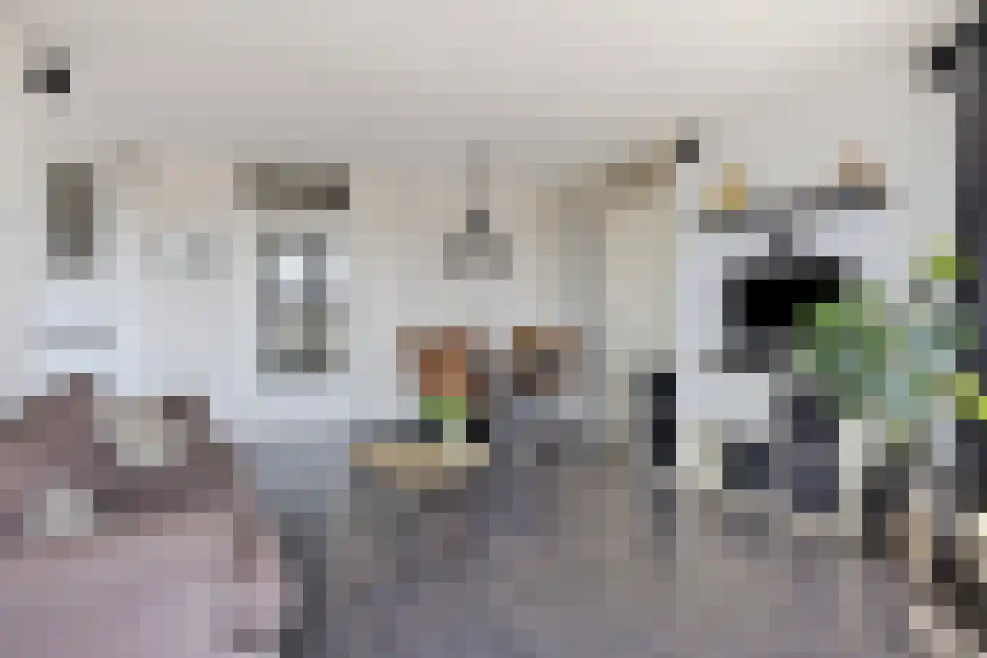 Doklaan 69 E Rotterdam thumbnail 9
