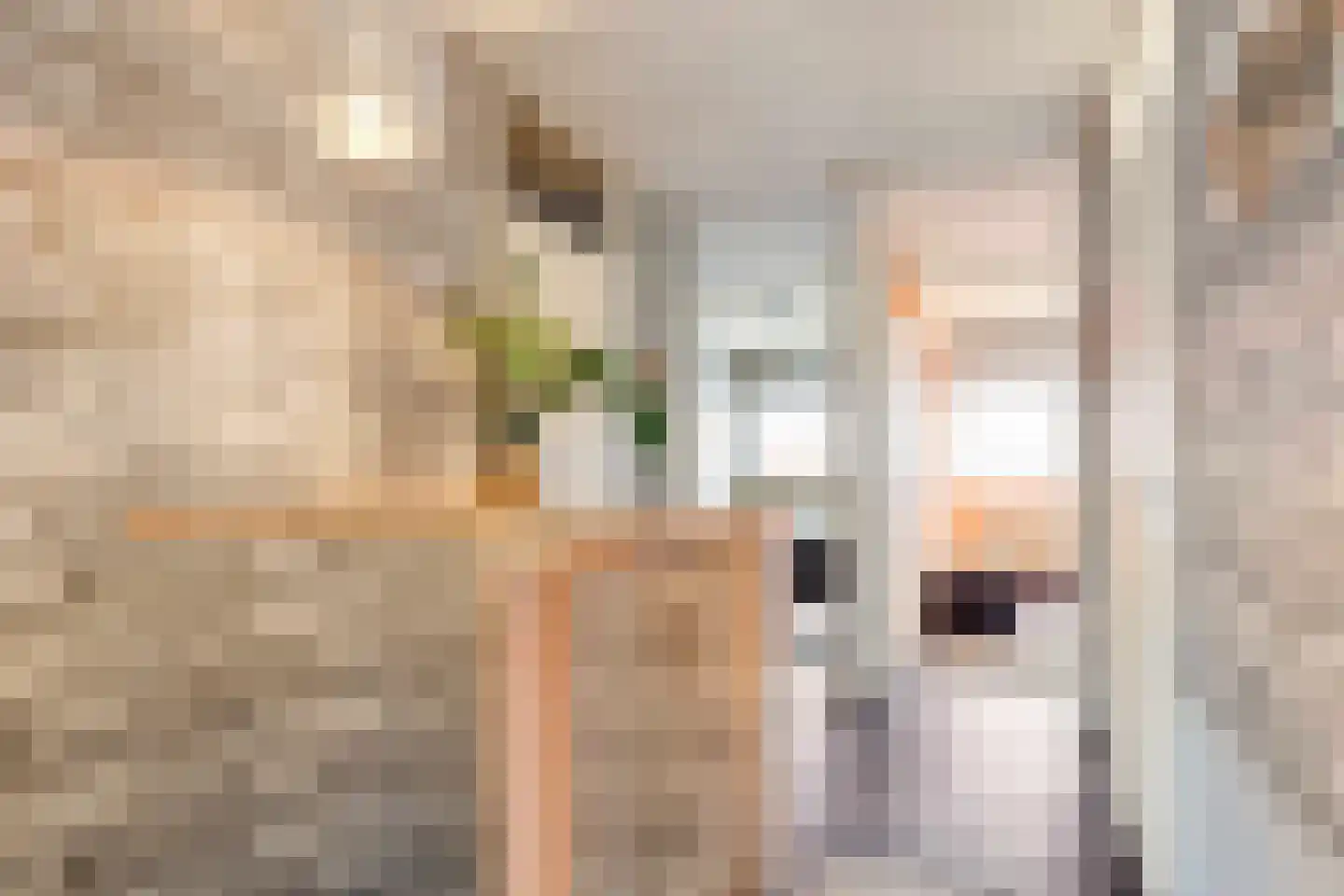 Doklaan 75 B Rotterdam thumbnail 17