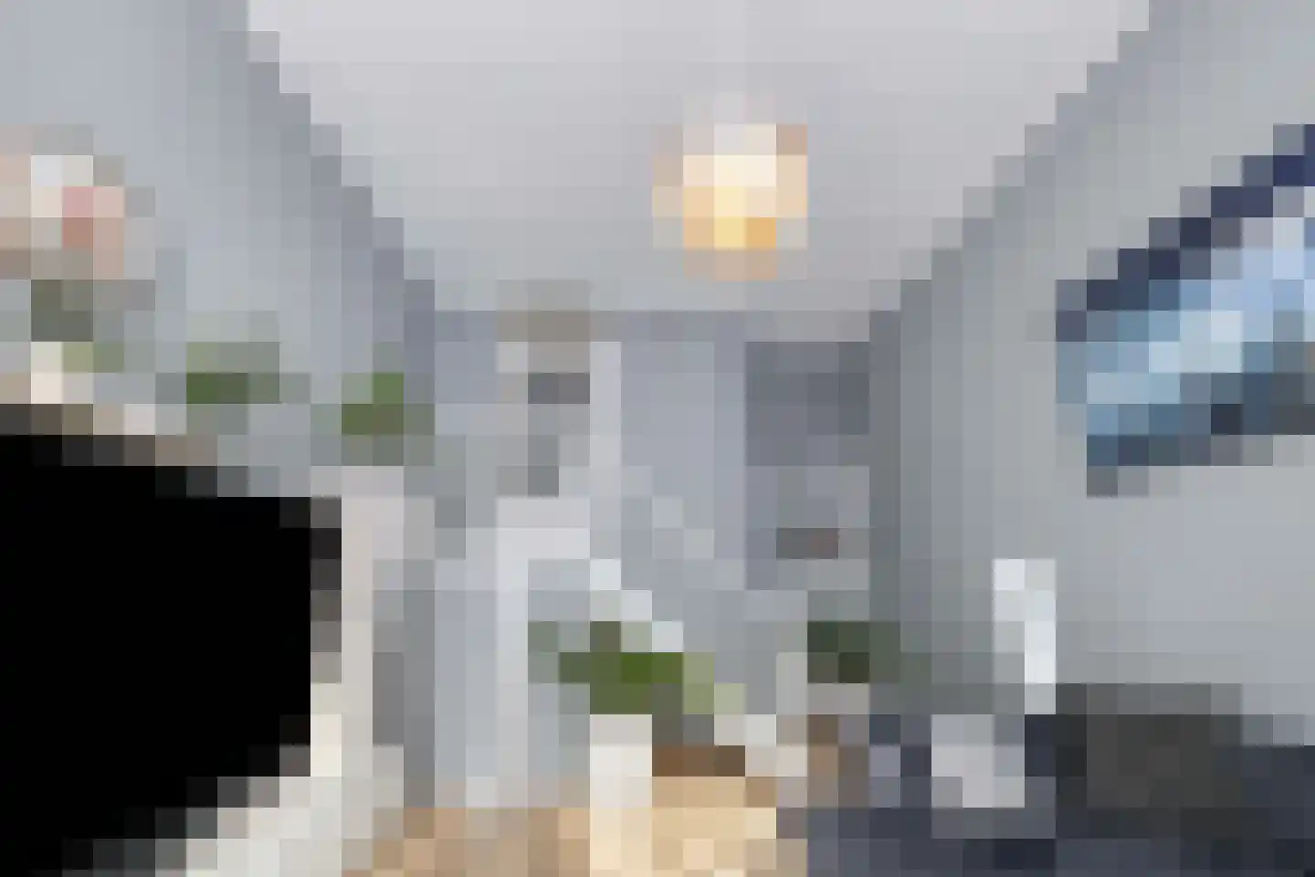 Doklaan 75 B Rotterdam thumbnail 8