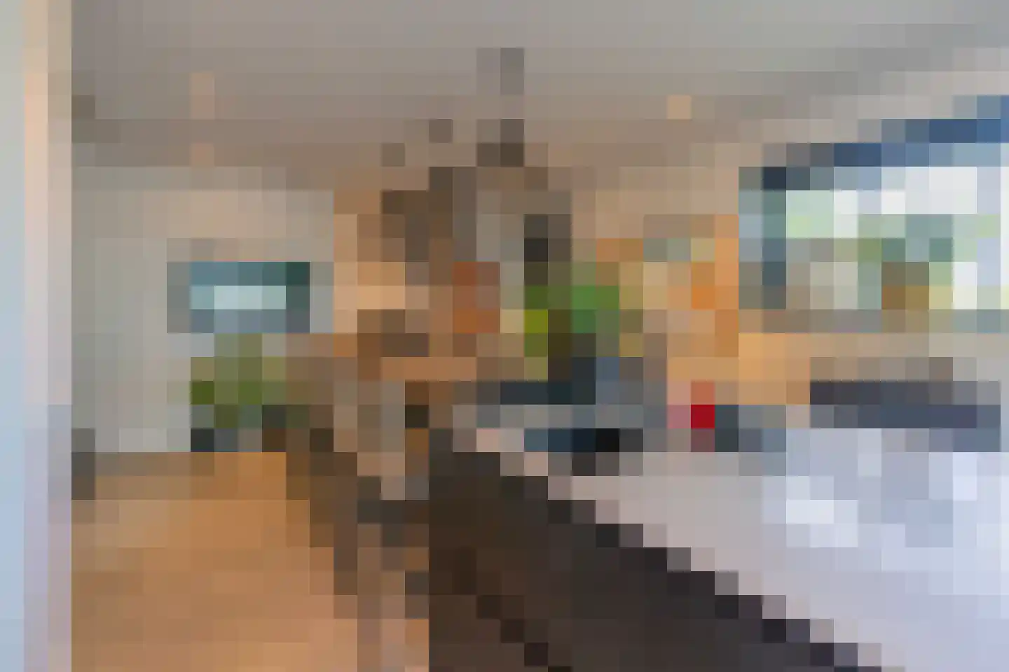 Dokpolderweg 2 Arnemuiden thumbnail 15
