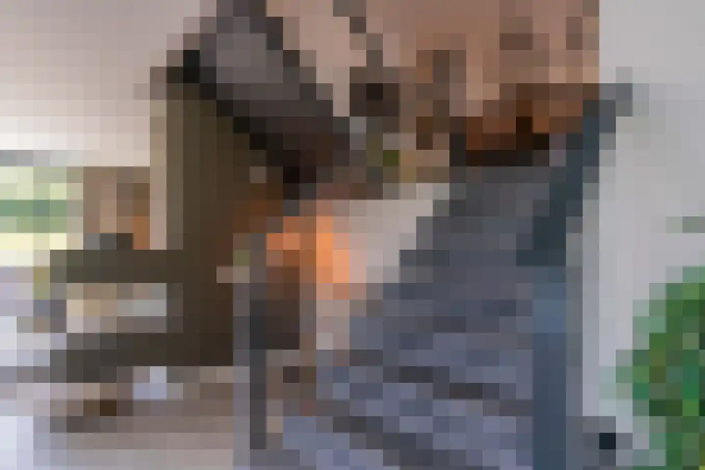 Dokpolderweg 2 Arnemuiden thumbnail 19
